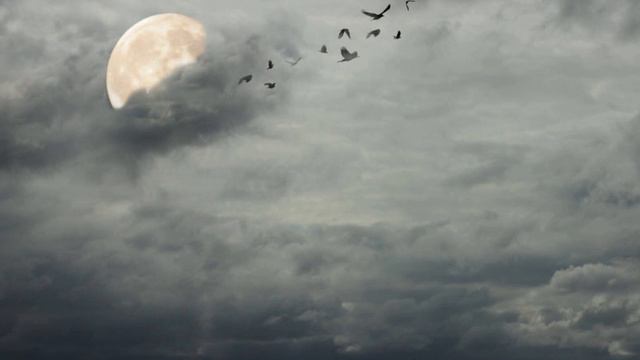 Dark Serpentine Watery Abyss, Jan King - Fading Away смотреть онлайн