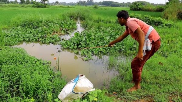 Fishing Video 😯| The fun of fishing with a hook in the village canal is different 🐠 Best rod fishin