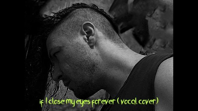 If I close my eyes forever- Ozzy & Lita Ford( vocal cover) смотреть онлайн