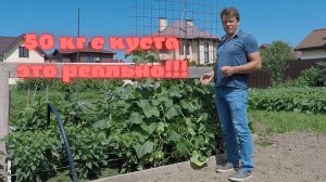 хотите получить большой урожай огурцов - формируем огурцы на примере KS80F1