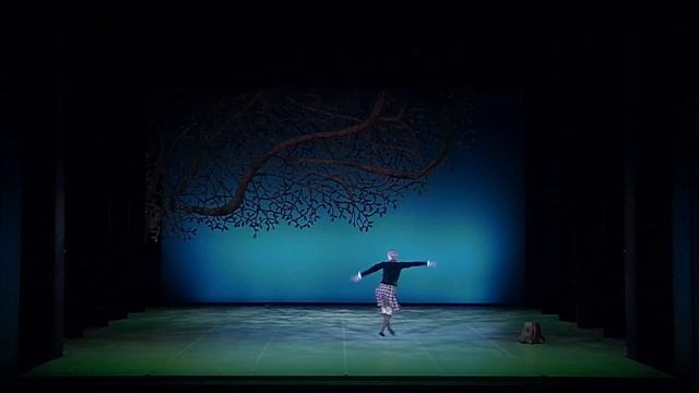 La Sylphide Pas De Deux- Marita Weinrank, Taras Titarenko