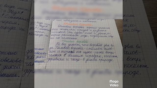 Рассказ о птицах. 1 часть. Птицы любящие людей. смотреть онлайн