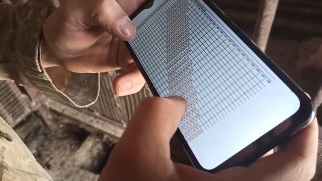 Распродаем хозяйство//вес кабана точечки//давно ее не было в видео смотреть онлайн