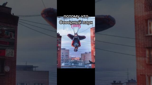 Северный паук прикол