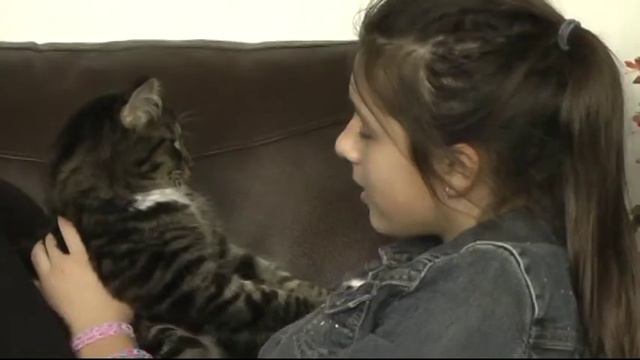 Diana talking with cat. Наш кот Кузя разговаривает с Дианой. смотреть онлайн