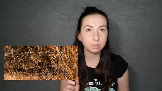 Биология. Лужи из мезозоя. Жесткие условия жизни на меленьких островах. Формы естественного отбора. смотреть онлайн