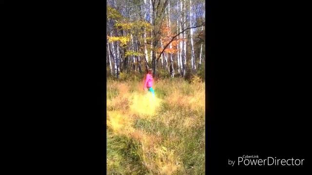 ЖИВОЙ ЛЕС. смотреть онлайн