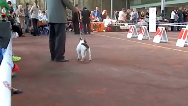 Росинка 21 сентября 2013 смотреть онлайн