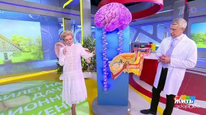 Жить здорово! Выпуск от 16.08.2022