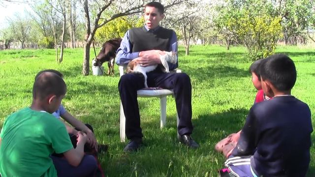 Қисса. Мысықтың пайда болуы смотреть онлайн
