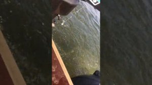 Лодочный мотор Хангкай 6.5 4 такта 2019 г.в.