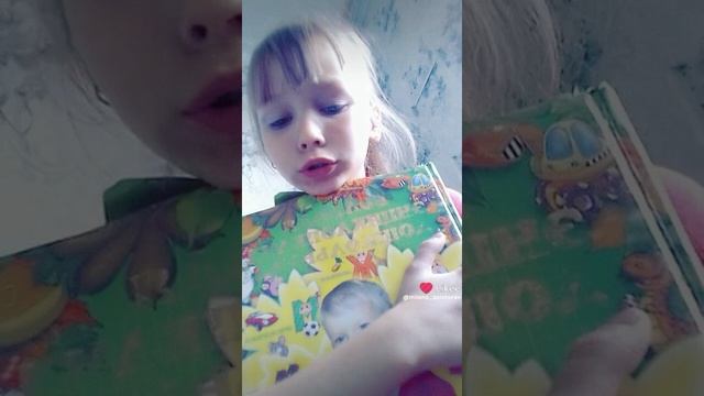 Каралева рутуба.