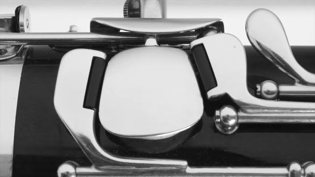 The Bassoon: A Humorous Song (with captions) - J Quenton Ashlyn смотреть онлайн