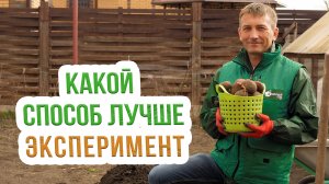 Какой метод посадки картошки выбрать: солома, почва или агроволокно? Подготовка картофеля к посадке