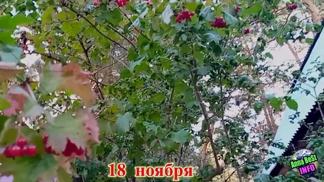 2 Самых ОПАСНЫХ дня в ноябре 2023 года! Будьте осторожны! смотреть онлайн