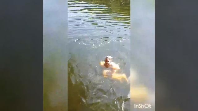 Данила плавает, развлекается и лежит в гамаке на даче #надачесданилой смотреть онлайн