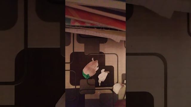 Адопт ми бумажные сюрпризы 3 часть ( последняя) смотреть онлайн