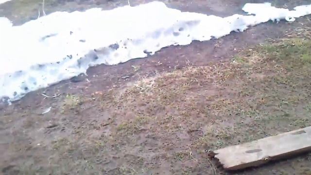 У БАБУШКИ НА ДАЧЕ \ ВСТРЕТИЛИ КУЗЮ \ БАБУШКИН КОТ \ КОРМИМ КОТА смотреть онлайн