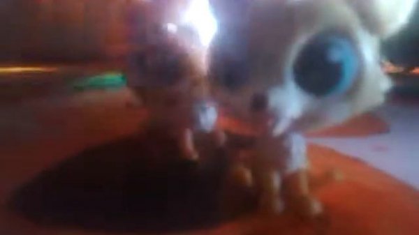 Песня рома рома роман.