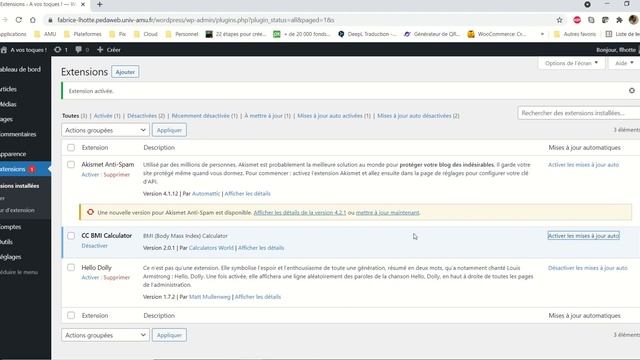 CMS WordPress - 029 - Les extensions - CC BMI calculator смотреть онлайн