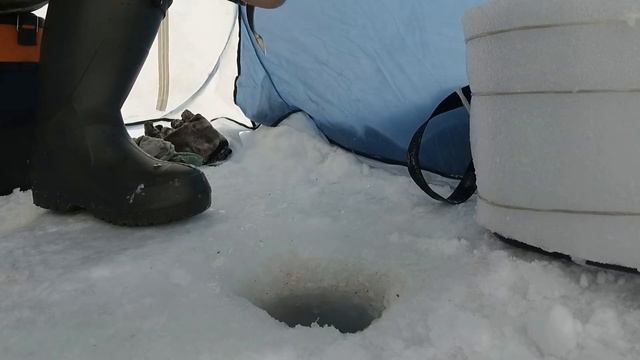 РЫБАЛКА В - 25 !!! ЖЕРЛИЦЫ РАБОТАЮТ ! Ловля плотвы на "титьку".Январь 2021 смотреть онлайн