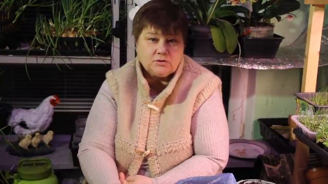 НЕ ДОПУСТИТЕ ЭТУ ОШИБКУ! РАБОТА ИЗ-ПОД ПАЛКИ. 08.02.19 смотреть онлайн