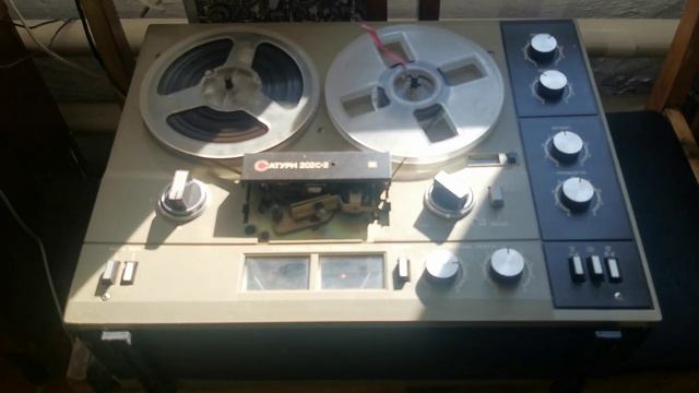 VID 20211018 134039.mp4