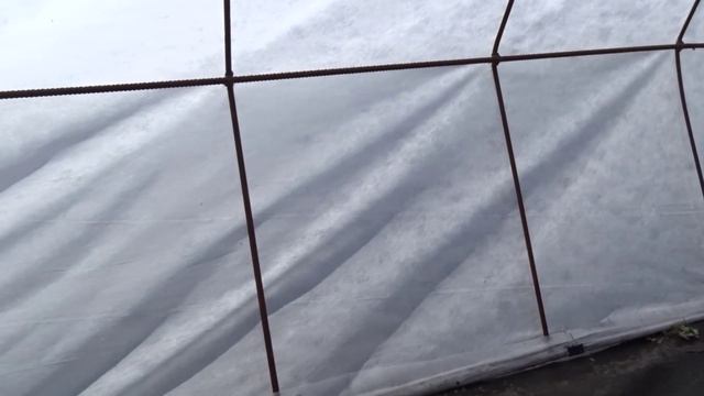 Как правильно сажать бахчевые в апреле смотреть онлайн