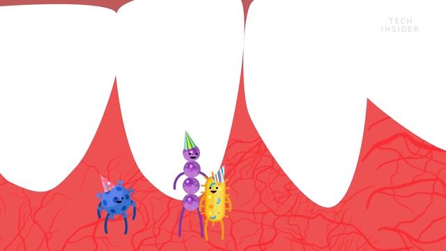 Here's What Happens If You Stopped Brushing Your Teeth смотреть онлайн