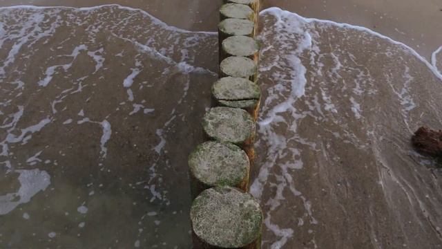 Прогулка по пляжу в Светлогорске - март 2022 смотреть онлайн