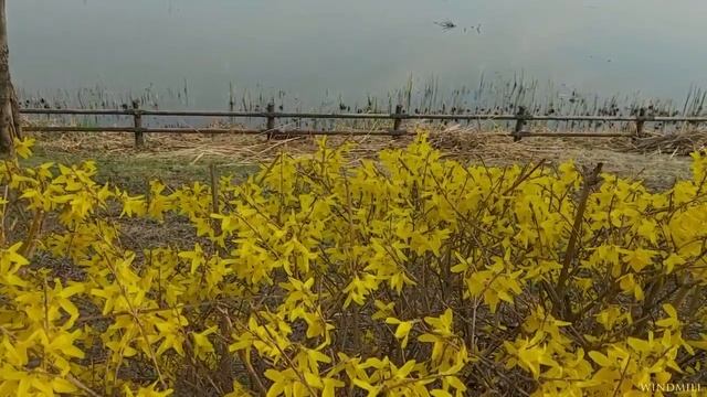 HAUSER (Cello & Violin) - Live In Zagreb FULL Classical Concert⑧