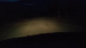 TOYOTA AVENSIS свет штатного галогена