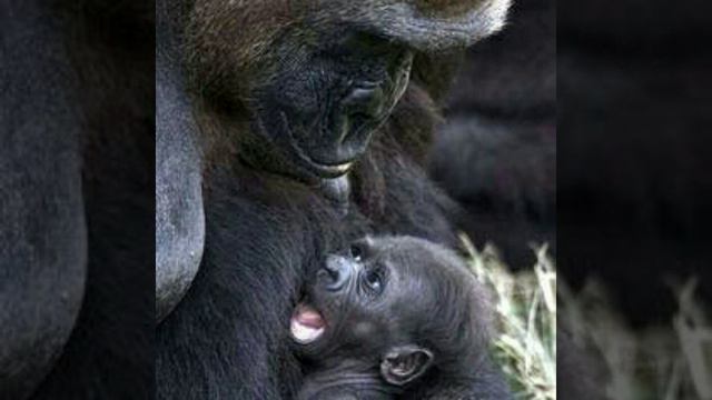 Хорошо, когда мама рядом. , Часть 2 смотреть онлайн