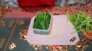 ЧЕРЕМША НА ЗИМУ! ЗАГОТОВКА ЧЕРЕМШИ.