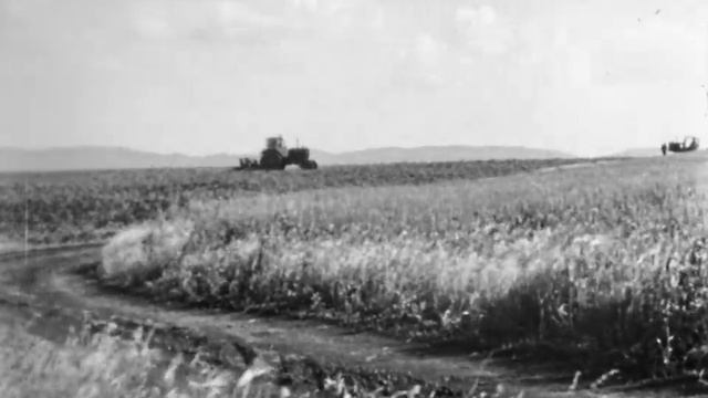 На страже урожая, 1973. смотреть онлайн