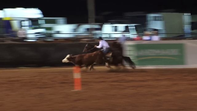Landmark Classic Campdraft Winning Run 2013 ~ Ben McNaughton riding The Ranch Jannali смотреть онлайн