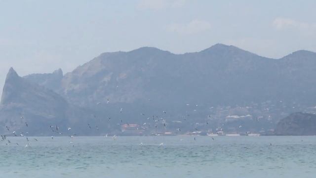 Крым, Судак сегодня 03 мая 2021. Набережная, пляж, море: репетиция сезона 2021