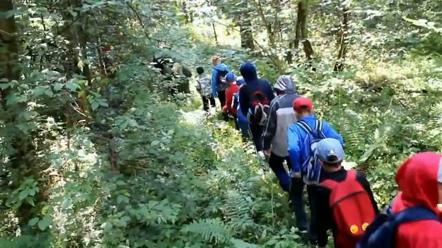 древо Жизни 2018 смотреть онлайн