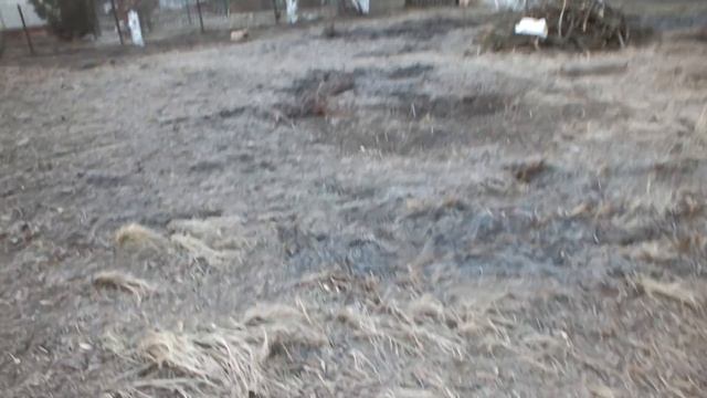 Как обработать брошенный участок часть-2 смотреть онлайн