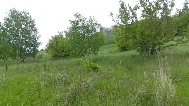 СКИФСКОЕ ГОРОДИЩЕ "ГУЛЯЙ ГОРА" , РЕКА УДЫ / ХОРОШЕВО , ХАРЬКОВСКАЯ ОБЛАСТЬ смотреть онлайн