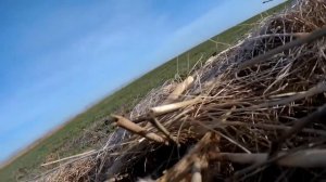 ОХОТА НА ХИТРОГО СЕРОГО ГУСЯ