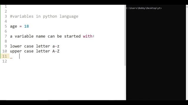 Variables in python in Telugu | Learn Python in Telugu | Lesson - 02 смотреть онлайн