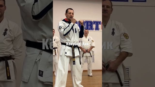 Кёкусин-Кик под руководством Сихана Станислава Винокурова (5) смотреть онлайн