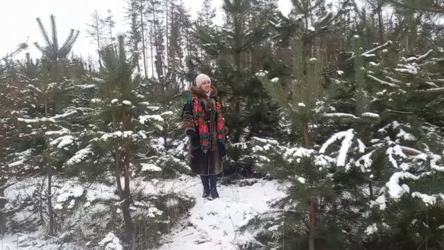 У леса на опушке смотреть онлайн