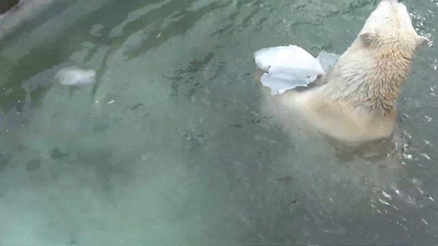 Герда в воде. 31.03.2022 смотреть онлайн