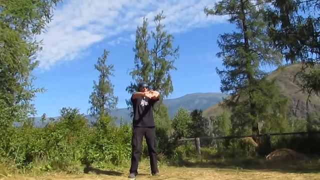 Исцеляющий импульс.  Выжимка.  Голтис