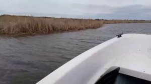 Кайман 300, мотор Парсун 9,9. Скорость 43 км/ч.