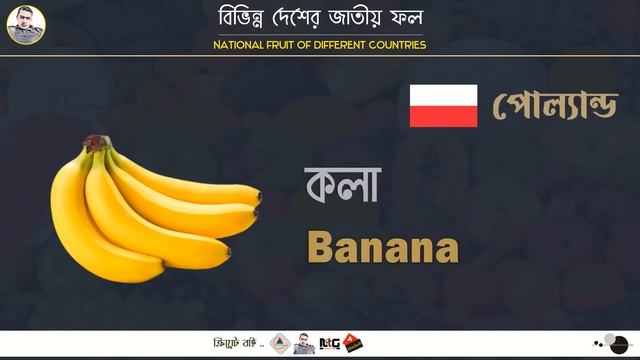 National Fruit of Different Countries | বিভিন্ন দেশের জাতীয় ফল | Naldanga IT Center смотреть онлайн