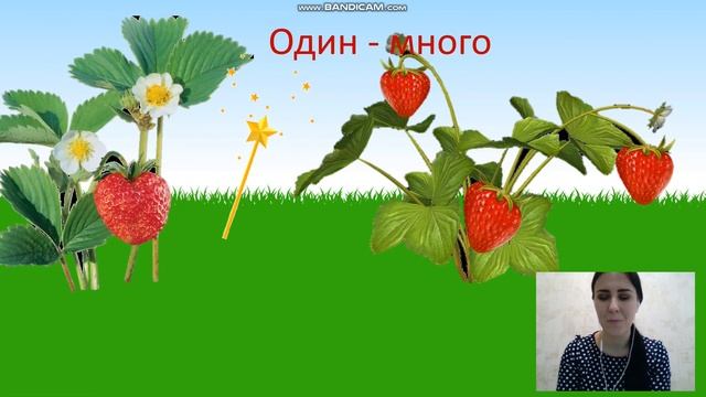 Интерактивная игра для дошкольников смотреть онлайн