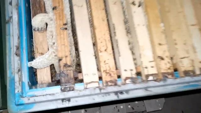 Что нужно открыть и положить для зимовки пчел в зимовнике! смотреть онлайн